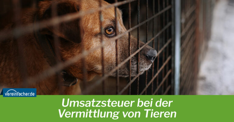 Umsatzsteuer bei der Vermittlung von Tieren