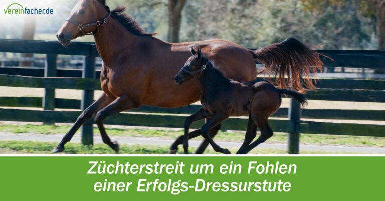 Züchterstreit um ein Fohlen einer Erfolgs-Dressurstute