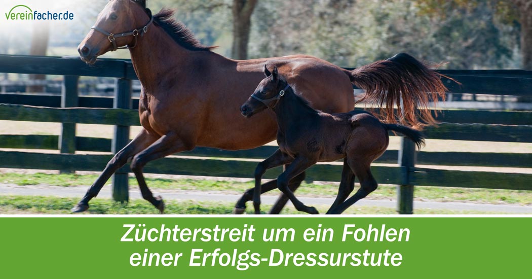 Züchterstreit um ein Fohlen einer Erfolgs-Dressurstute