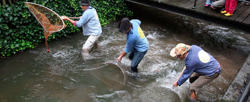 Fischertag ist ein traditionelles Fest der Stadt Memmingen